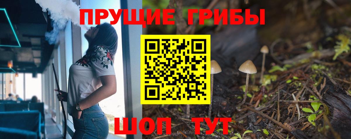 Псилоцибиновые грибы Cubensis  Вход с VPN  Сергиев Посад 