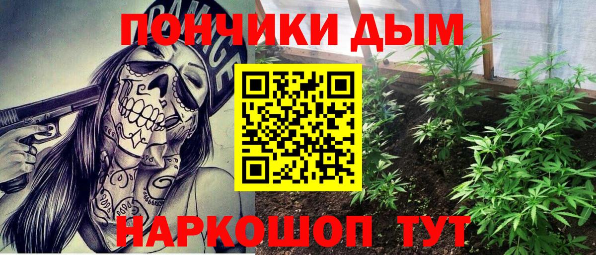 Марихуана план  Каннабис семена  Сергиев Посад  Бошки Шишки индика  Вход с VPN  Канабис OG Kush 
